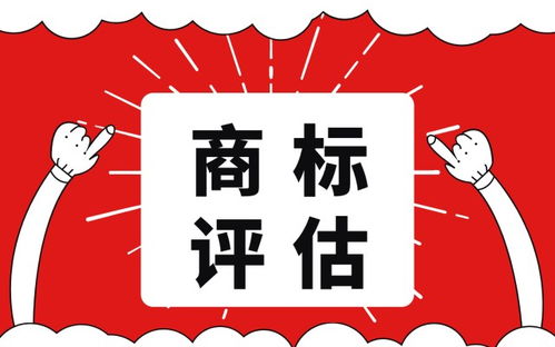 知識(shí)產(chǎn)權(quán)評(píng)估 理論基石與技術(shù)轉(zhuǎn)讓的實(shí)踐橋梁